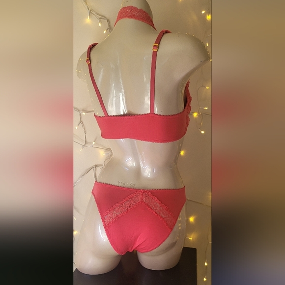 Agent Provocateur Coral Lace Bra and Panty Set - Picture 4 of 6